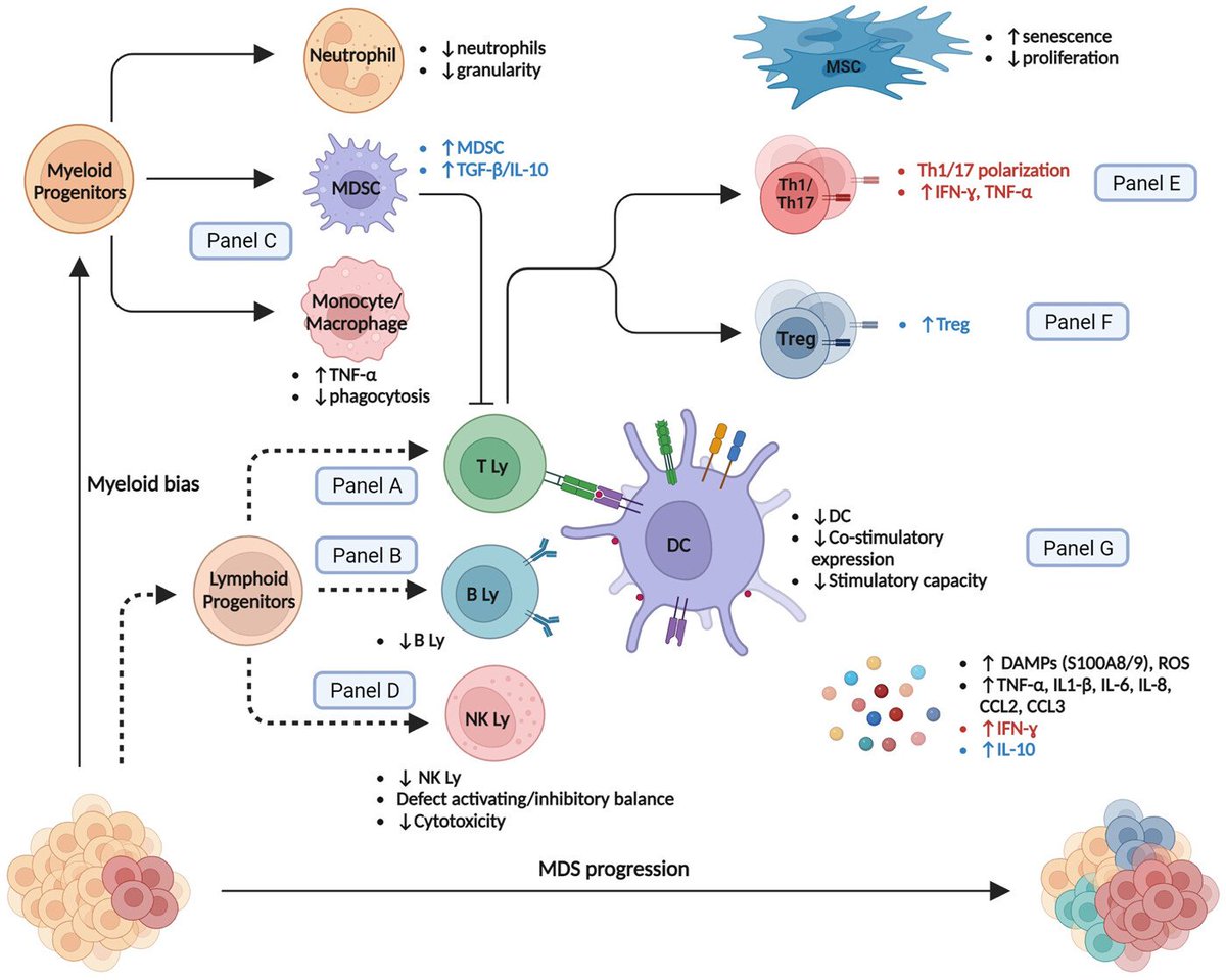 Yu-Hung Wang (@wang_yu_hung) on Twitter photo Immune-monitoring of myelodysplastic neoplasms: Recommendations from the #i4MDS consortium
doi.org/10.1002/hem3.64
<a href="/Hemasphere_EHA/">HemaSphere Journal (IF = 14.6)</a> <a href="/KordastiL/">Kordasti_lab</a> #MDSsm
<a href="/aamdsif/">AA&MDSIF</a> <a href="/ic_MDS/">International Consortium for MDS (icMDS)</a> <a href="/MDS_Hub/">MDS Hub</a> <a href="/MDSAlliance/">MDS Alliance</a> <a href="/MDSFoundation/">MDS Foundation</a> Immune-monitoring of myelodysplastic neoplasms: Recommendations from the #i4MDS consortium
doi.org/10.1002/hem3.64
<a href="/Hemasphere_EHA/">HemaSphere Journal (IF = 14.6)</a> <a href="/KordastiL/">Kordasti_lab</a> #MDSsm
<a href="/aamdsif/">AA&MDSIF</a> <a href="/ic_MDS/">International Consortium for MDS (icMDS)</a> <a href="/MDS_Hub/">MDS Hub</a> <a href="/MDSAlliance/">MDS Alliance</a> <a href="/MDSFoundation/">MDS Foundation</a>