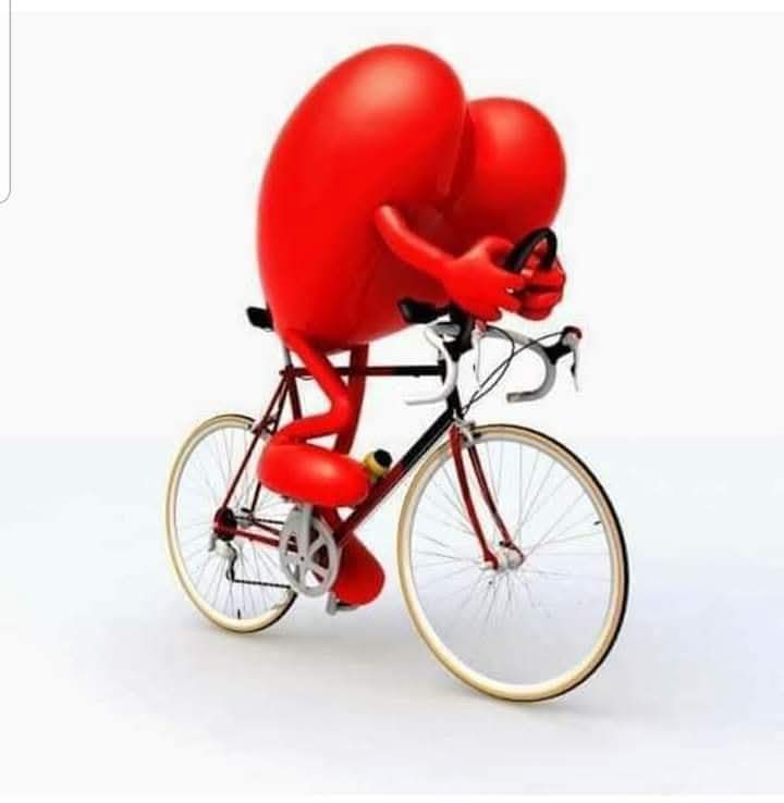 TlacatecolotlMX's tweet image. A darle, mi querido #Compi @WitoWitowito71 ...! 

Tengo que pedalear...! Un gusto saludarte..! Que te mejores..!  🦉🫂🙏🏾