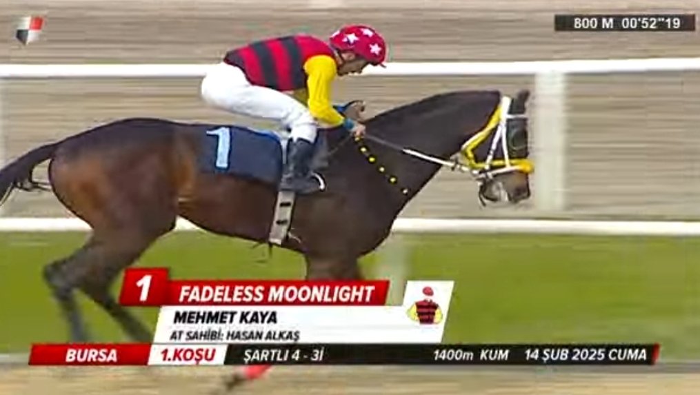 FADELESS MOONLIGHT by KINOWA
Pist ayırt etmeden koştuğu 15 koşunun 7 sini ilk, 5 ini ikinci sırada tamamlayan,diğer üç koşuda tabelada yeralan 3 yaşlı güzel çocuk bugün ise kazancını 3 milyon TL'nin üzerine taşıdı💙🧿
<a href="/AygirKinowa/">Kinowa Stallion</a> 40.000 TL Aşım ücreti ile Çatalca Gür Harası'nda