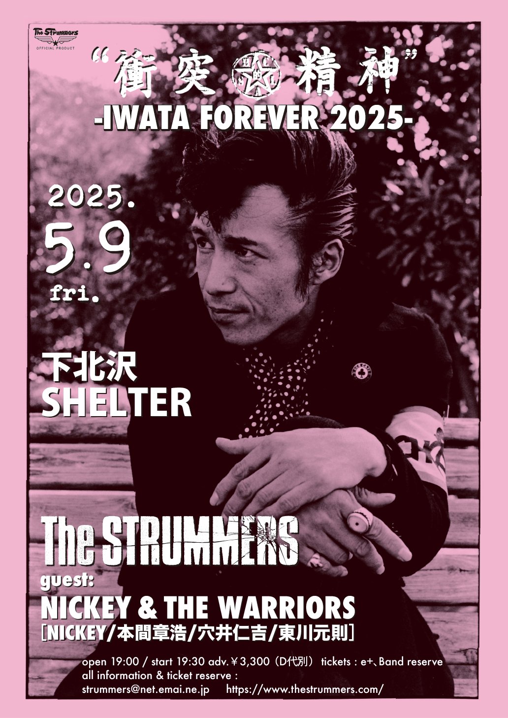 The Strummersザ・ストラマーズ