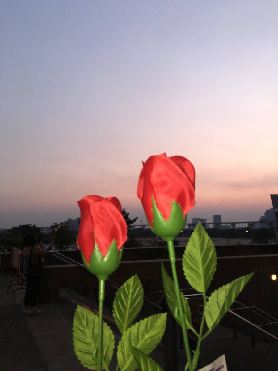 발렌타인데이달콤달콤쓰💕