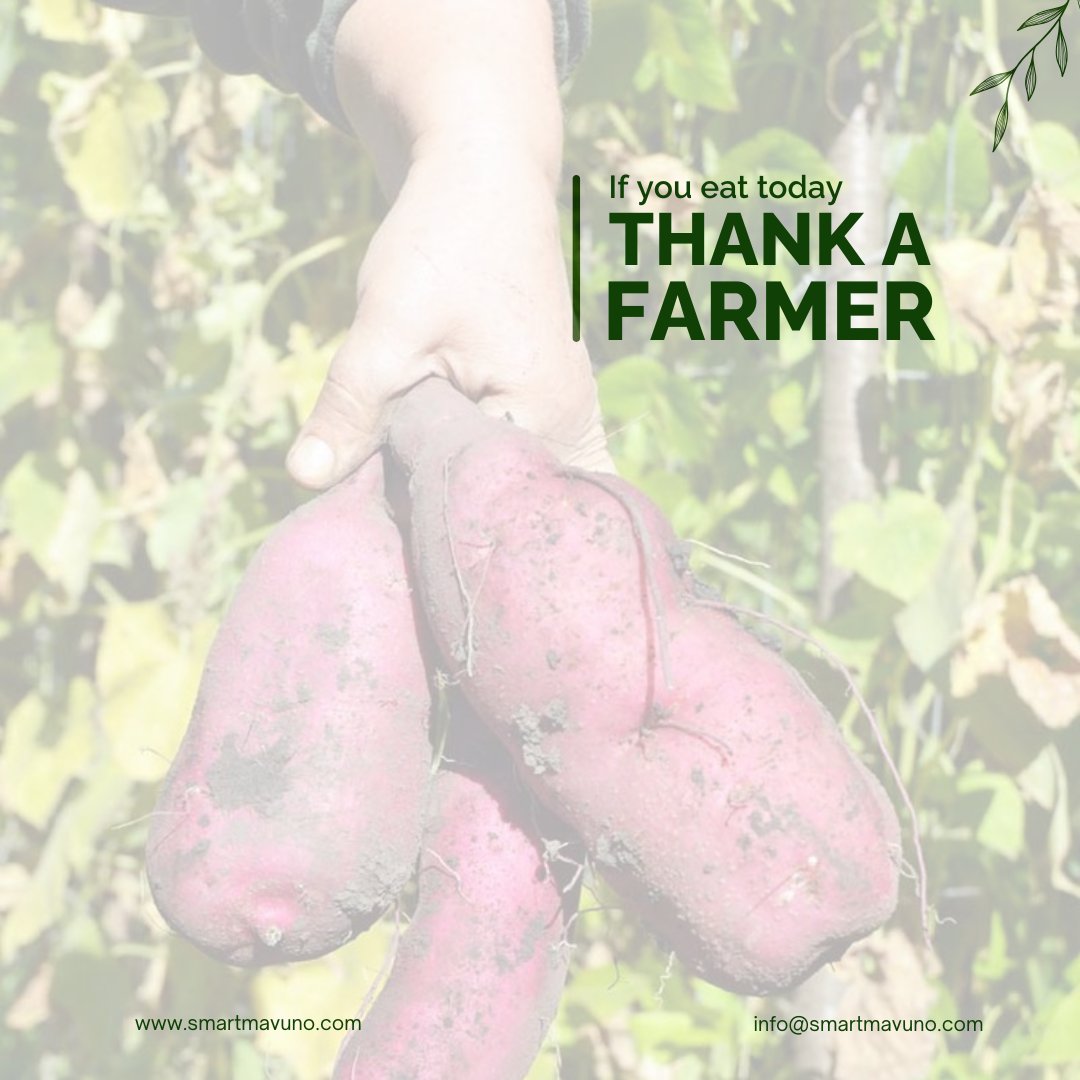 Happy Valentine’s Day! ❤️🌾 Today, we celebrate the true heroes—our farmers. Your dedication to fresh, quality produce fills our tables and our hearts. Thank you for all you do! 💚 #FarmFresh #SmartMavuno #ThankYouFarmers #ValentinesDay