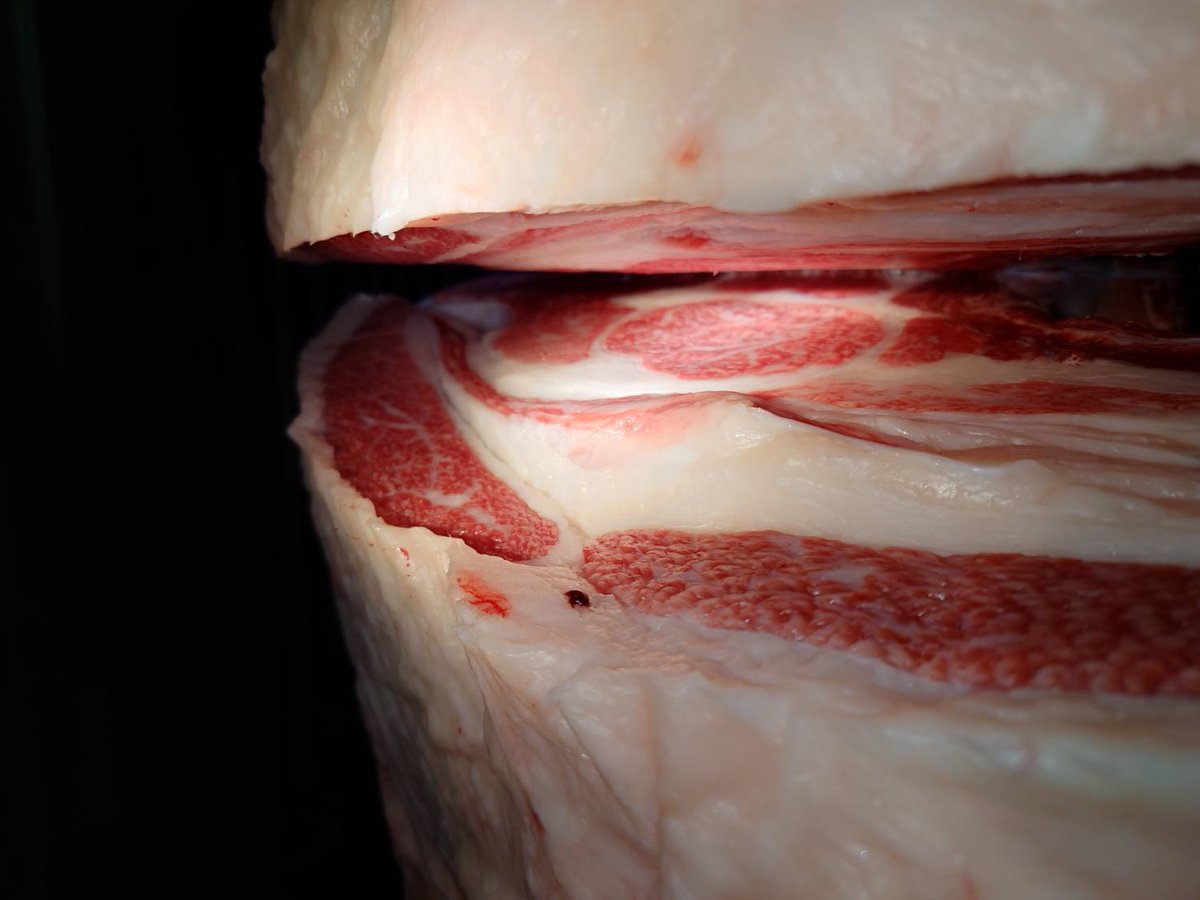 お肉の販売を始めます‼️

繁殖農家直売の黒毛和牛です!!
私が分娩、哺乳、肥育まで愛情たっぷりで育てあげた牛です!!

黒毛和牛の美味しさを、皆様に知って貰えればと思います。

【拡散希望📣‼️】

onikuno-gyugyumaru.stores.jp

#黒毛和牛
#牛牛丸
#GYUGYUMARU