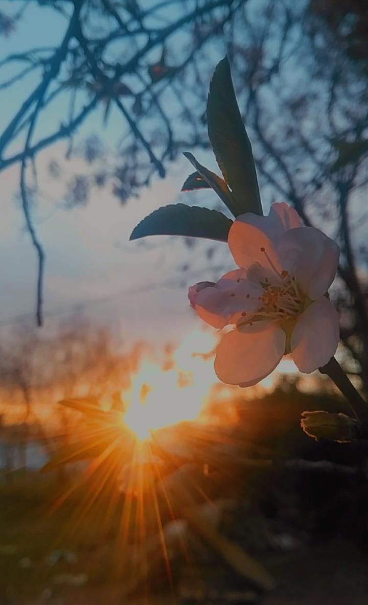 Good evening x mates 
Stay connected everyone