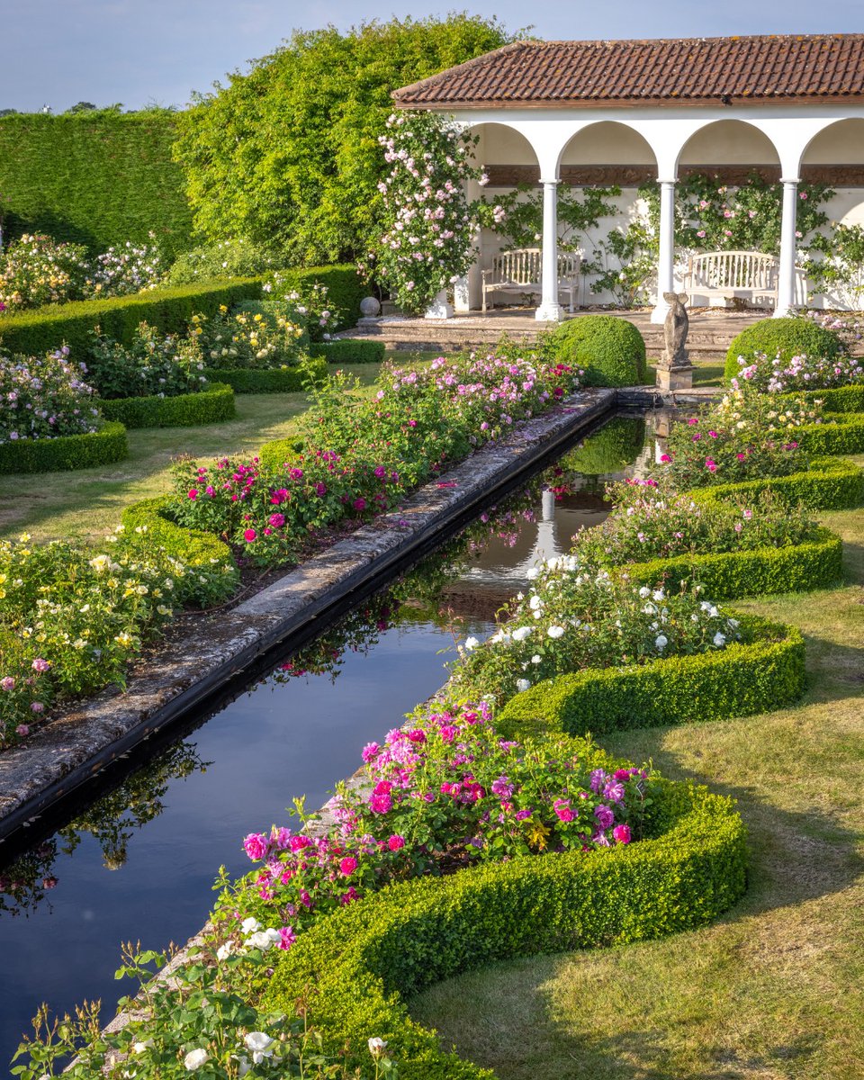 BrooklandTravel's tweet photo. Our very first day on our RHS Bridgewater Garden, David Austin Roses and Gardens of the North West Guided Tour this July, will kick off with a visit to the iconic David Austin Roses!🌹✨

Find out more about this  (3 nights/4 days) tour;

https://t.co/IsNqAmMUCt**** https://t.co/a9UcSXpn35