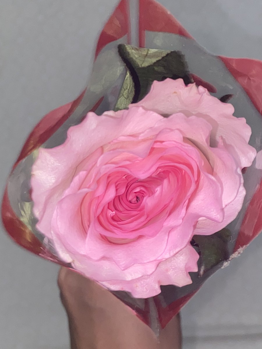 Happy valentine's day ♥️