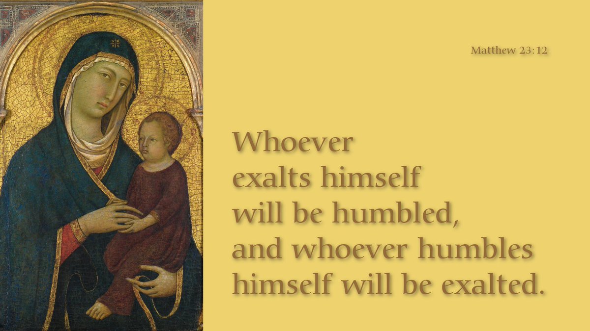 Andrea_tcft74's tweet image. 