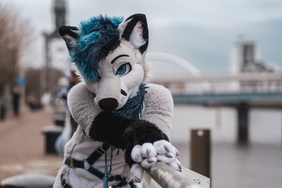 Riyo ➡️ Scotia, NFC, LVFC (@riyoriyote) on Twitter photo Happy #FursuitFriday!!
Was looking through Scotia photos and found something that instantly reminded me of something <a href="/Melon_mow/">Soju cat 🍉🍇➡️ FE, LVFC</a>... 😅
📷: <a href="/havokhusky/">H A V O K 🏴 💀💯®️</a>
#furry Happy #FursuitFriday!!
Was looking through Scotia photos and found something that instantly reminded me of something <a href="/Melon_mow/">Soju cat 🍉🍇➡️ FE, LVFC</a>... 😅
📷: <a href="/havokhusky/">H A V O K 🏴 💀💯®️</a>
#furry