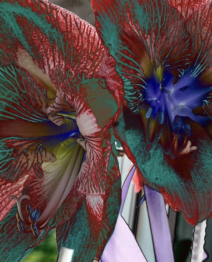 leartoflife's tweet photo. #leartoflife #abstractphotoart https://t.co/RFS1ZV4xoX