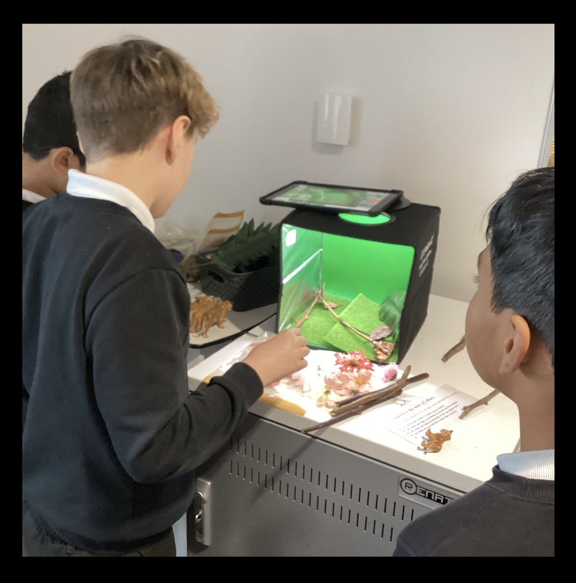 🎨Mrs Palmer tweet media