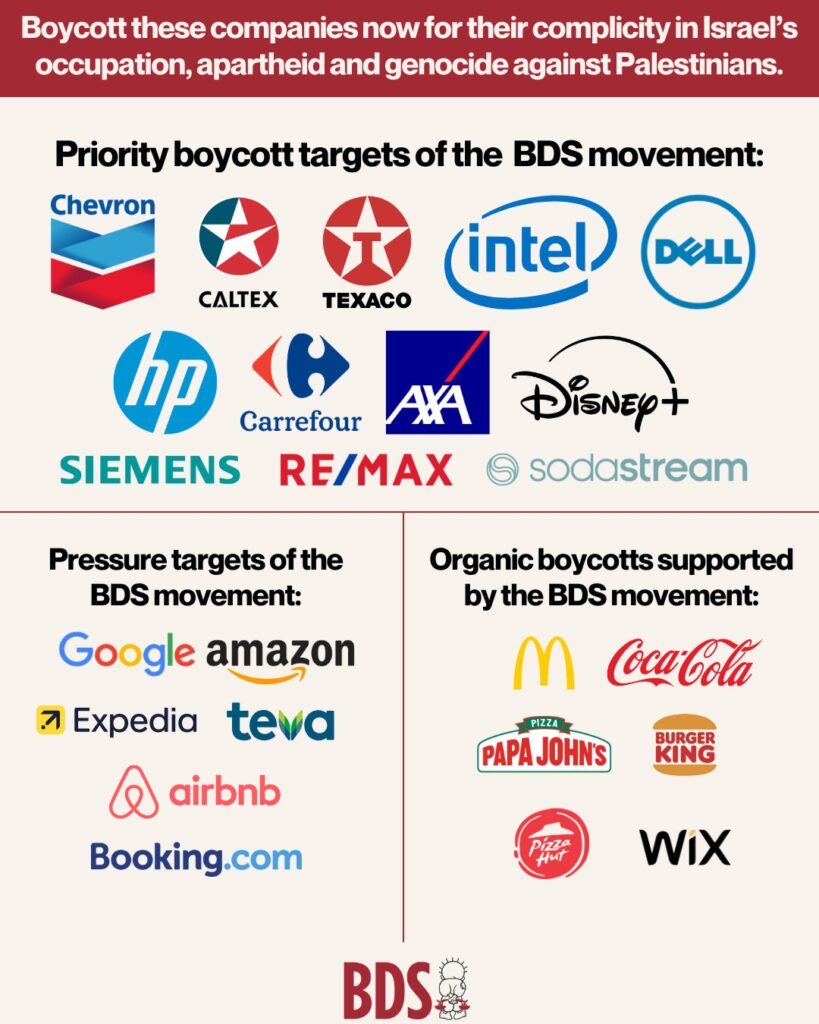 Justin Bonomo 🇵🇸 tweet media