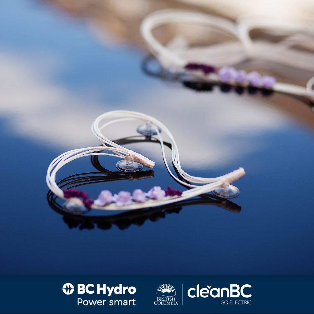 Fall in love with the power of electric. ⚡️💚