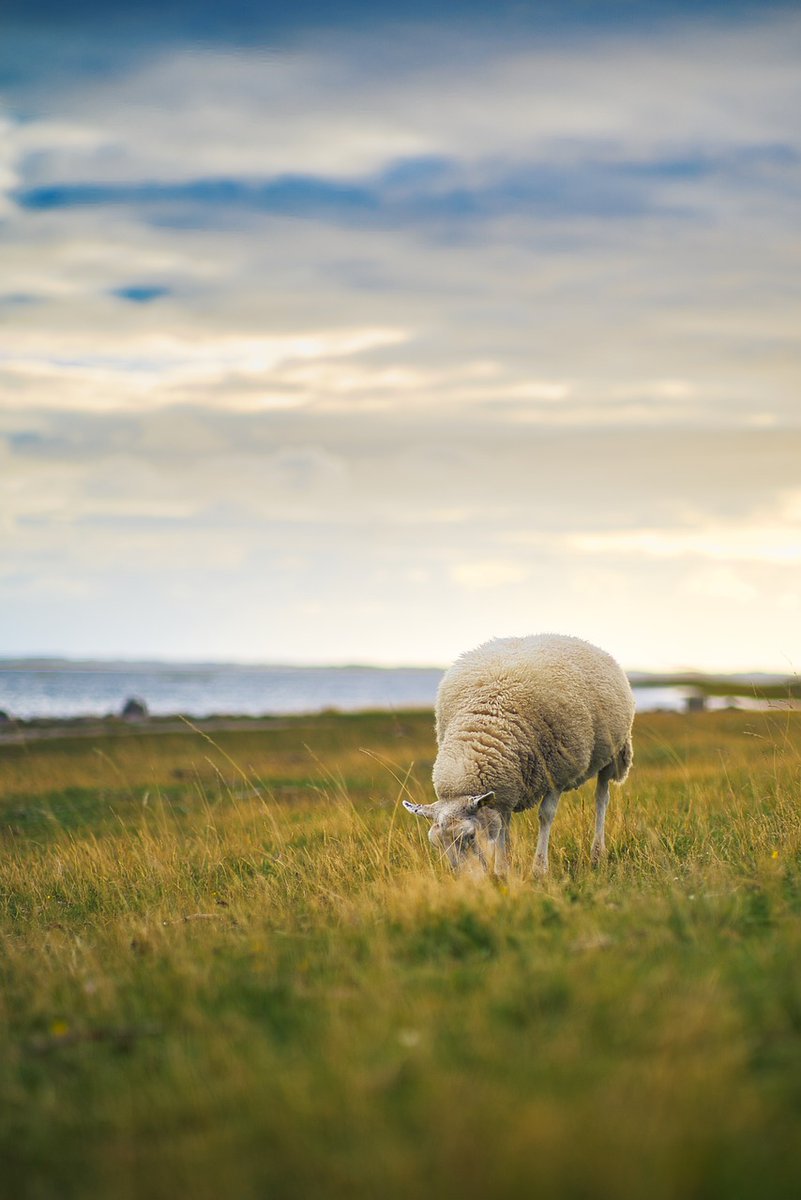 Defra Public Appointments tweet media