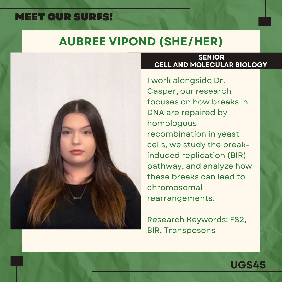 Next up for our SURFS spotlight is Aubree Vipond! Our Symposium Undergraduate Research Fellows (SURFS) are selected students who applied for the fellowship, which will help lead them to participate in the Undergraduate Symposium in March!