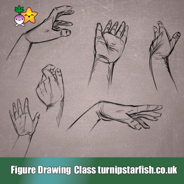 #teaching #drawings from this weeks #class join us on Mondays for our adult class #figuredrawing #lifedrawing #cardiffclass #cardiff #anatomy #drawanatomy #welshart #learntodraw #figure #learn #art #line #form #rct #southwales #cardiffart #cardiffartist