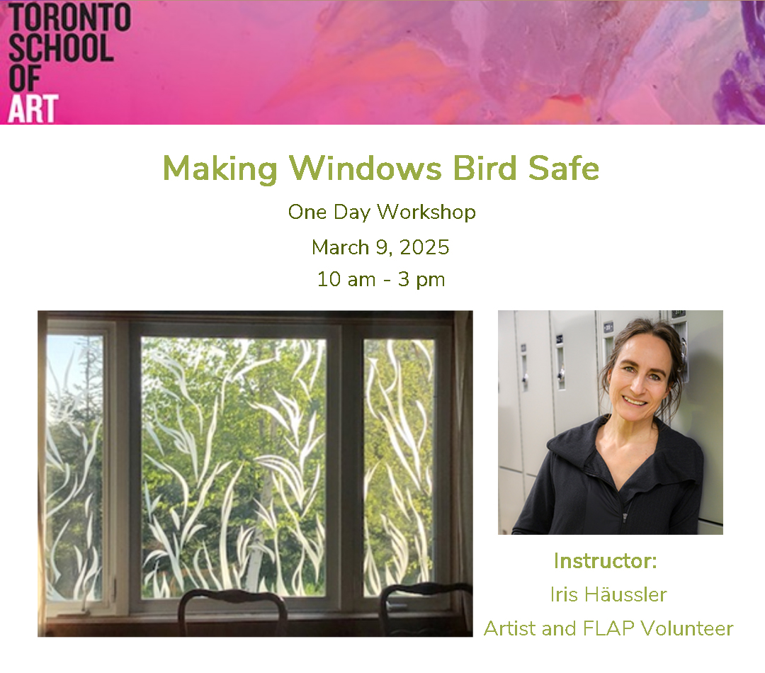 Check out this one-day workshop on March 9th by FLAP Volunteer Iris Häussler through the Toronto School of Art, on Making Windows Bird Safe! 
 
More details here: reg134.imperisoft.com/tsa-art/Progra…