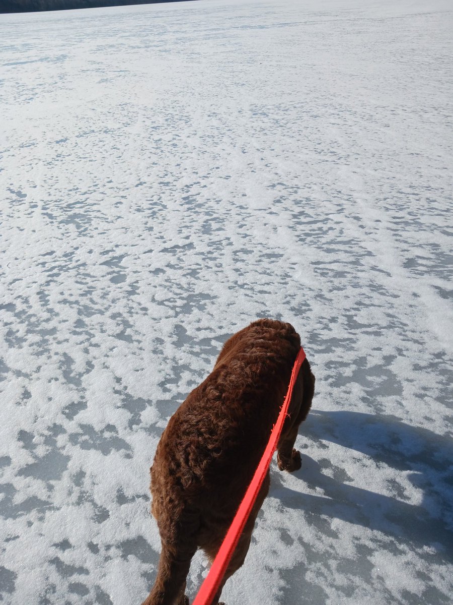 Decided to go out on the ice today