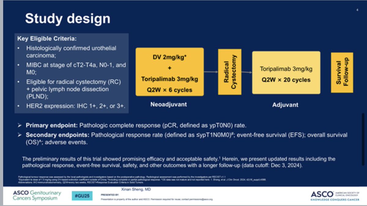 Tom Powles tweet media