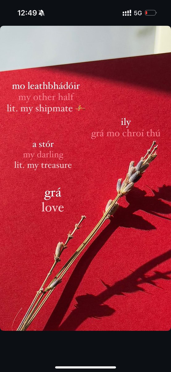 Lá ‘le Vailintín sona daoibh! #TrasnaNadTonnta