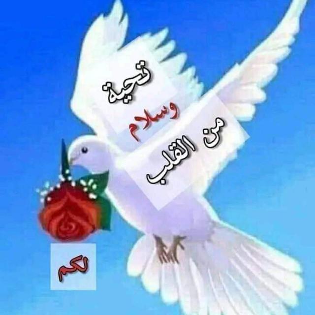 السلام هدفنا والإنسانية تجمعنا