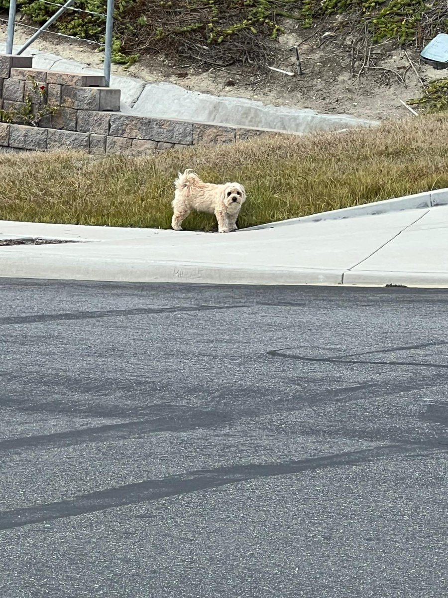 TheTedCoin's tweet image. Fuck the opps I’m out