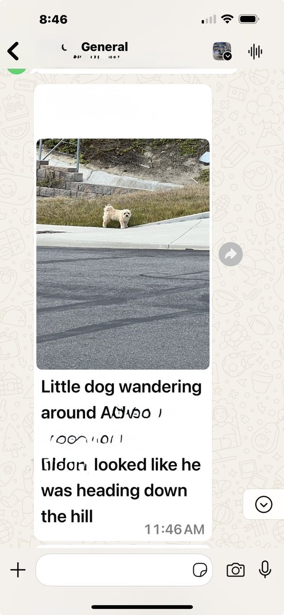 TheTedCoin's tweet image. Fuck the opps I’m out