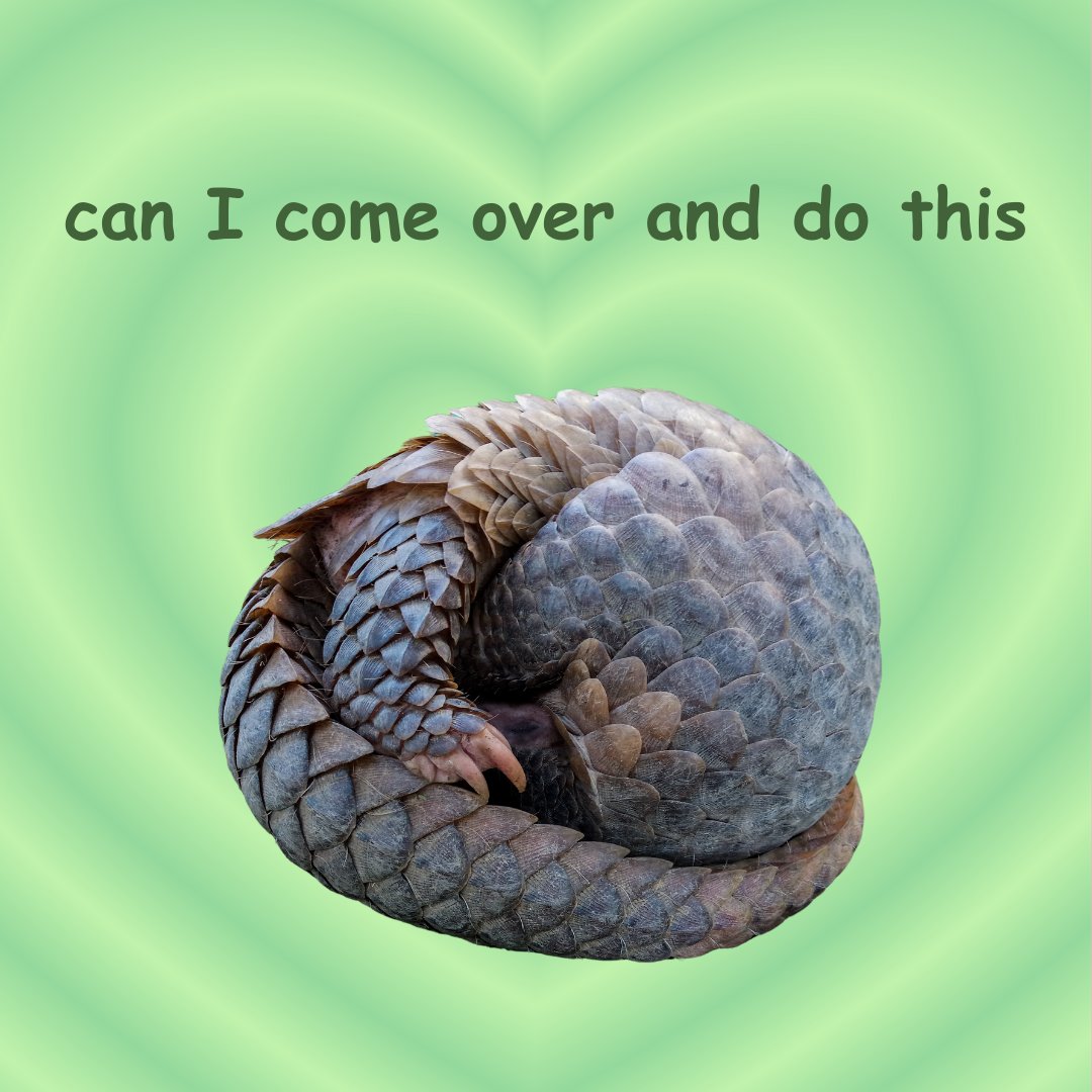 Send a valentine to someone who 💚s pangolins ✨
#ValentinesDay