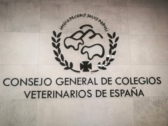 Col.Vet.Valladolid (@colvetvalladoli) on Twitter photo Documento suscrito hoy por los presidentes de los colegios veterinarios en la asamblea general de <a href="/ocvespana/">OCV España</a> para analizar la situación surgida tras la entrada en vigor de la nueva normativa sobre medicamentos veterinarios
colvetvalladolid.es/noticias/la-as… Documento suscrito hoy por los presidentes de los colegios veterinarios en la asamblea general de <a href="/ocvespana/">OCV España</a> para analizar la situación surgida tras la entrada en vigor de la nueva normativa sobre medicamentos veterinarios
colvetvalladolid.es/noticias/la-as…