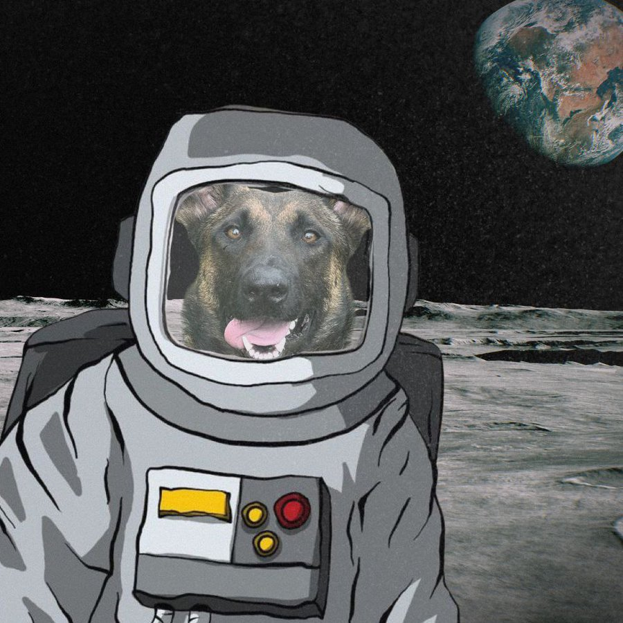 Broccoli tweet media