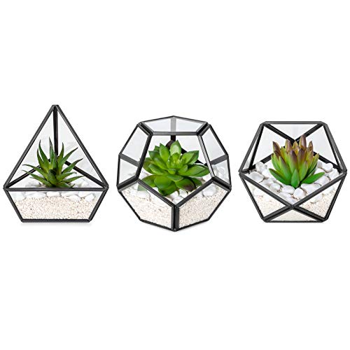 I just received Mkono Artificial Succulent in 3 Pack Mini Glass Geometric Terrarium, Miniature Potted Faux Plant Bookshelf Desk Boho Office Room Decor for Women Girls Dorm Gift Idea, Black - from Squishy via Throne. Thank you! throne.com/thedaddydes #Wishlist #Throne