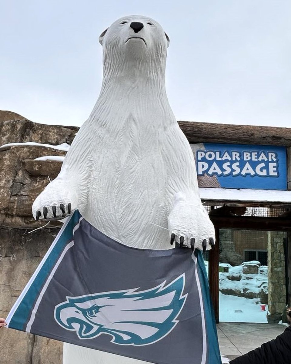 KansasCityZoo's tweet photo. A bet’s a bet – and this one is a win for wildlife! We are making good on our friendly wager with the @phillyzoo by displaying their winning team's gear and donating $2,000 to their selected AZA SAFE Cuban Crocodile conservation program! https://t.co/igOevRzEcv