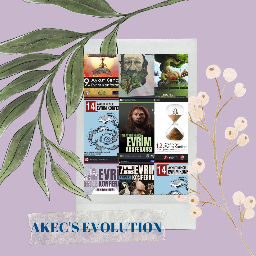OdtuAkek's tweet photo. Despite all obstacles, pressures, and bans over the years, we have continued AKEK with our solidarity. How did AKEK reach this point? Our "Evolution of AKEK" post is here for you, below! ⬇️
#ODTÜ #METU #AKEK #AKEC #EVRIM #EVOLUTION #evrimodtüde https://t.co/MIPfQ4AoAv