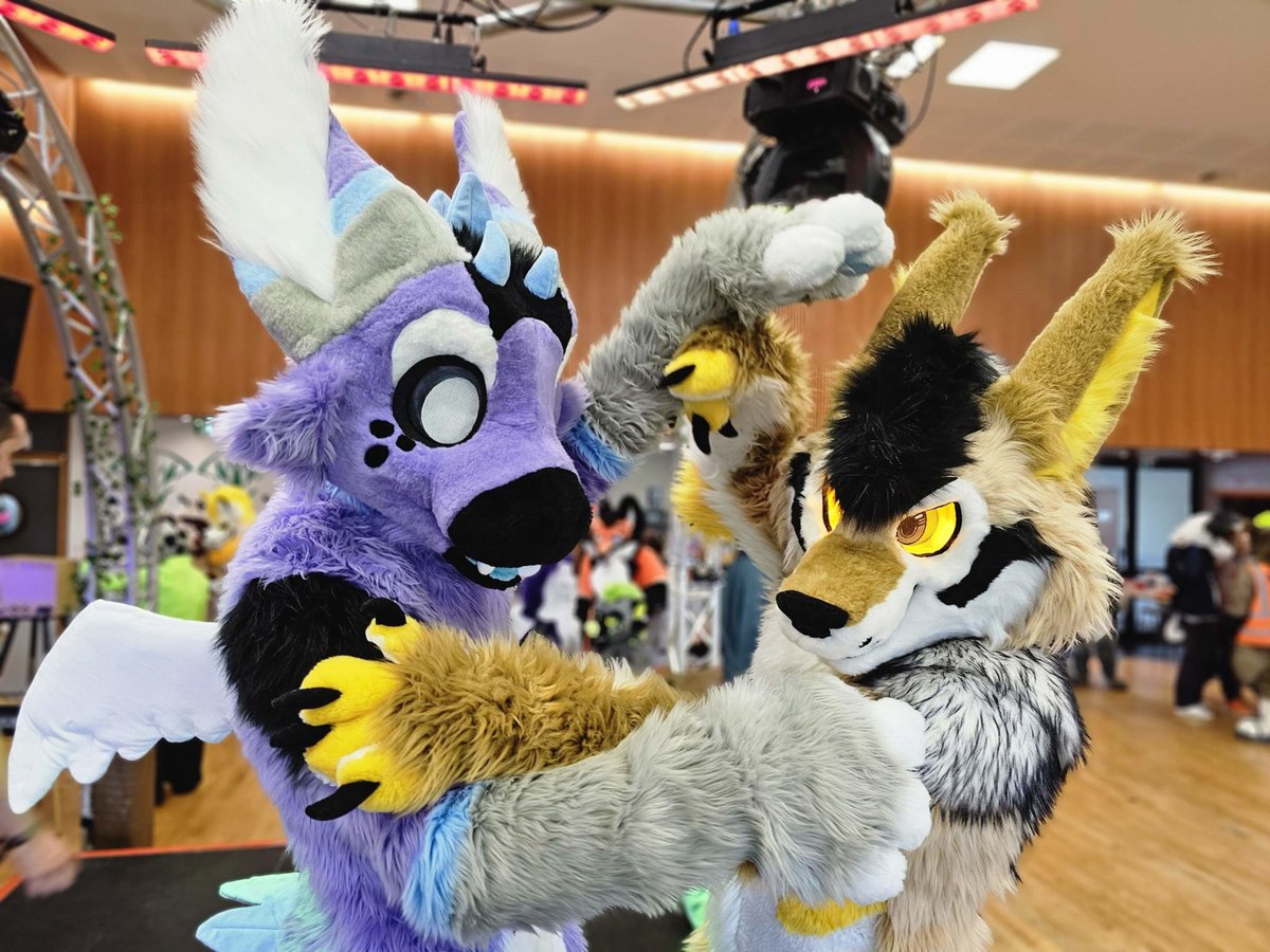 🌟La FCD, c’est bien plus que de la danse !

C’est aussi des vacances entre ami·e·s, avec plein d’activités :

Catwalk, Pool Party, Just Dance, Furoctogone, Fursuit Dance Contest, Initiation Shibari et + encore !

⚠️ les places sont bientôt épuisé ! 

👉 normandifurs.fr