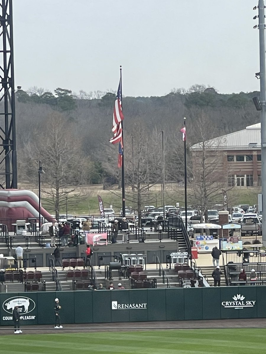 Steve Robertson tweet media