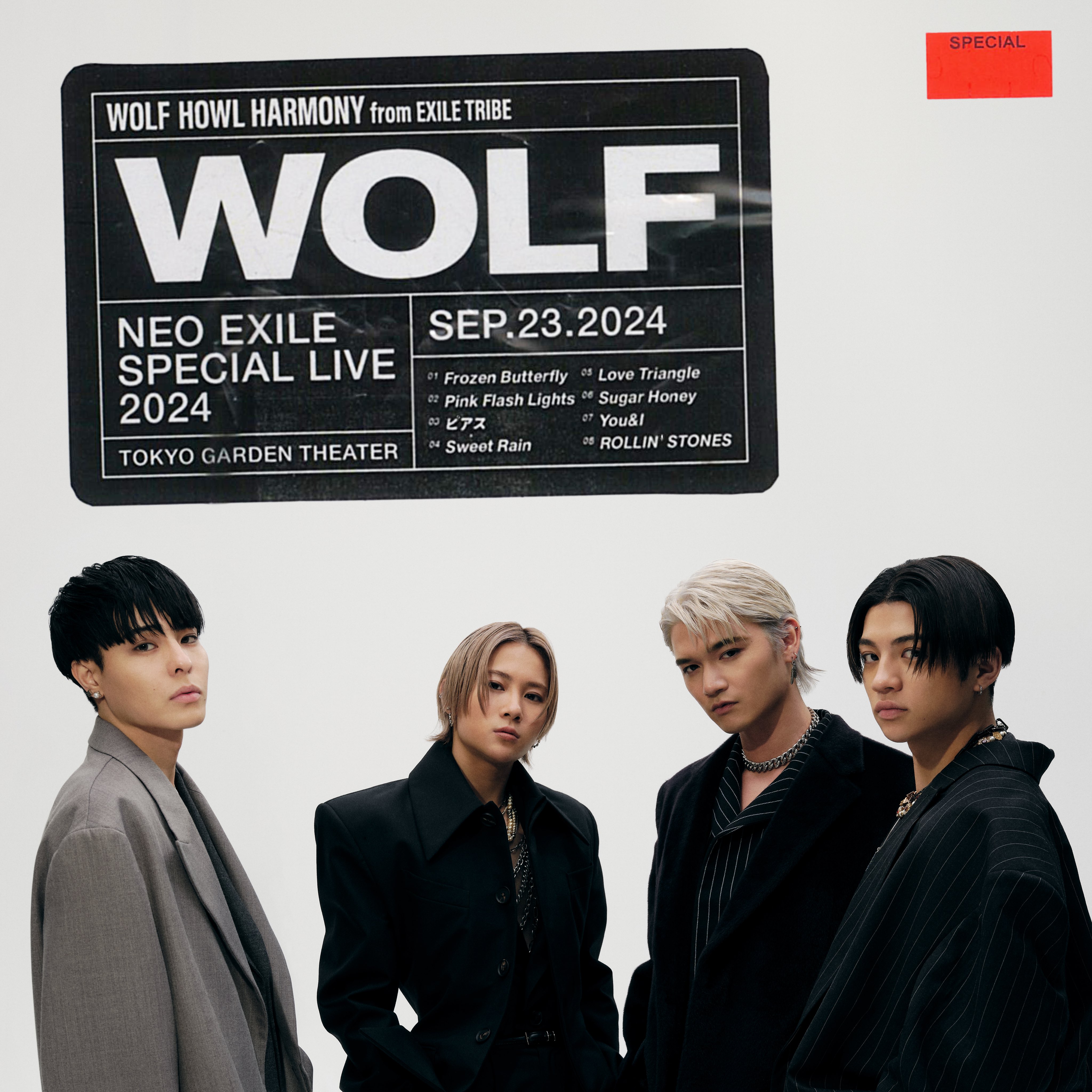 WOLF HOWL HARMONY【公式】 on X: WOLF HOWL HARMONY【公式】 on X: