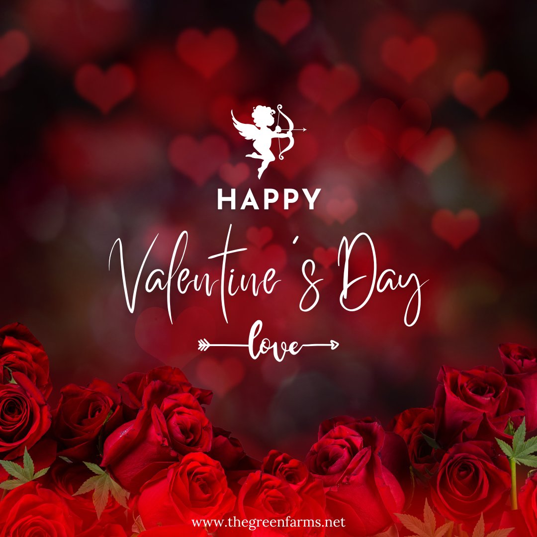 the_green_farms's tweet image. Happy Valentine’s Day to all my fellow cannabis lovers! 
#thegreenfarms #canadawideshipping #BCfarms #weedlovers #cannabisclub #cannabisindustry #cannabiscommunity #cannabisculture #weed #weedmob #420friendly #stonerfam #420fam #ouieed #Mmemberville #weed #cannabis #ValentinesDay