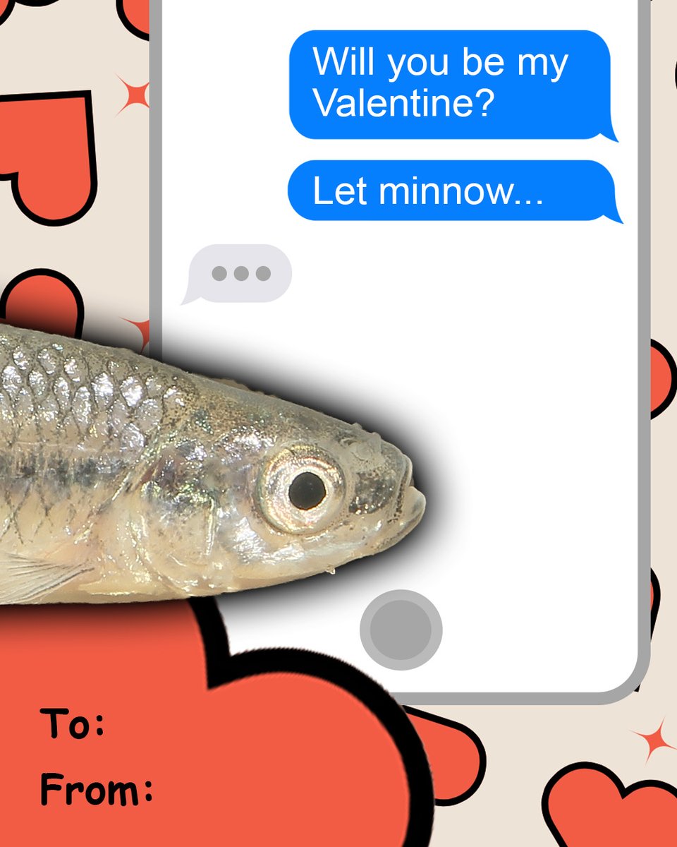 pafishandboat's tweet image. Fishing you a fin-tastic Valentine’s Day 💘

#HappyValentinesDay #NiceCatch #PAFishandBoat