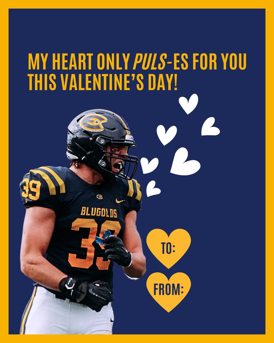 Blugold Football tweet media