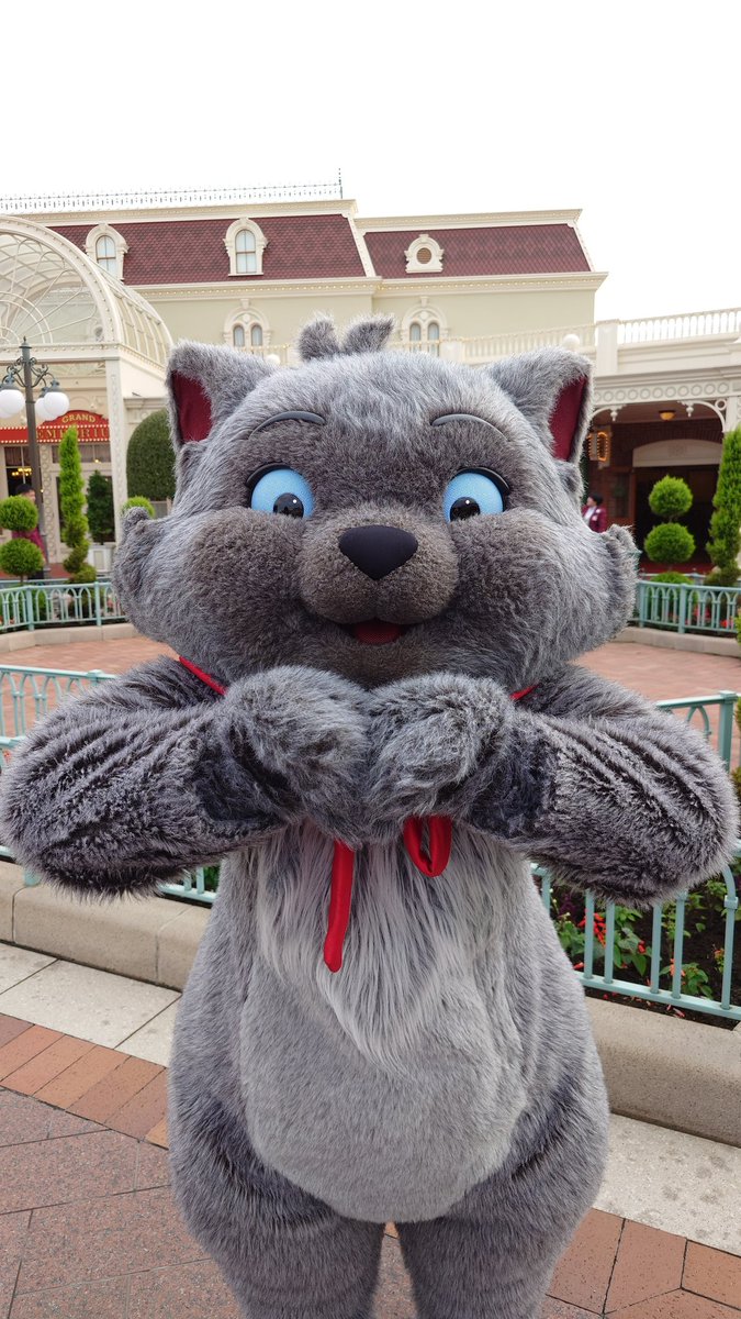 Happy Valentine's Day! 
ベルリオーズのハート🫶もふもふおててのハートかわいい❤️