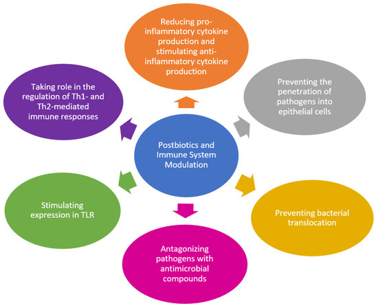 BiologicsMDPI (@biologicsmdpi) on Twitter photo 🧬 Interesting Paper on Immunity!
"Involvement of Probiotics and Postbiotics in Immune System Modulation"
📚By Neslihan Yeşilyurt et al.
Discover how probiotics and postbiotics influence immune health.
🔗 mdpi.com/2673-8449/1/2/6
#Probiotics #ImmuneHealth
<a href="/MDPIBiologySubj/">MDPI Biology</a> 🧬 Interesting Paper on Immunity!
"Involvement of Probiotics and Postbiotics in Immune System Modulation"
📚By Neslihan Yeşilyurt et al.
Discover how probiotics and postbiotics influence immune health.
🔗 mdpi.com/2673-8449/1/2/6
#Probiotics #ImmuneHealth
<a href="/MDPIBiologySubj/">MDPI Biology</a>