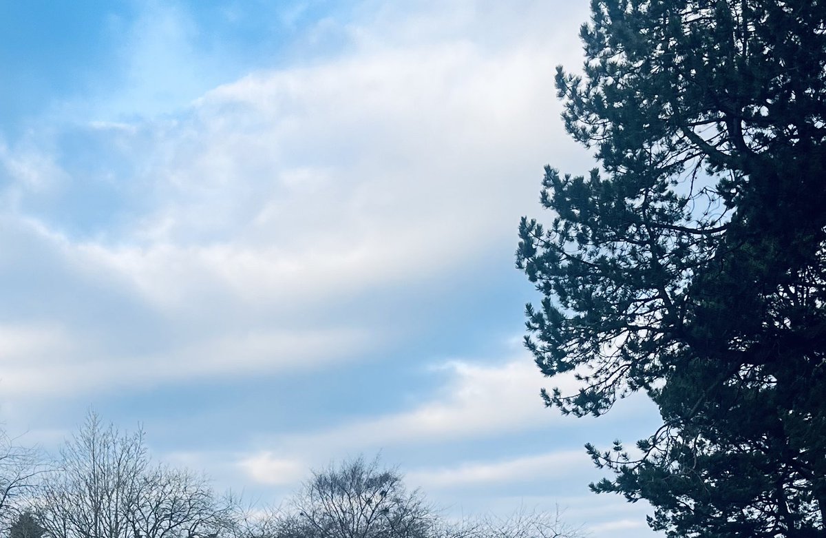 FernhillMaths's tweet image. Making the most of the beautiful crisp morning with S1 and S2 maths classes enjoying some problem solving relay races.

(Thanks to @aap03102 for resources)

#ForeverThrive