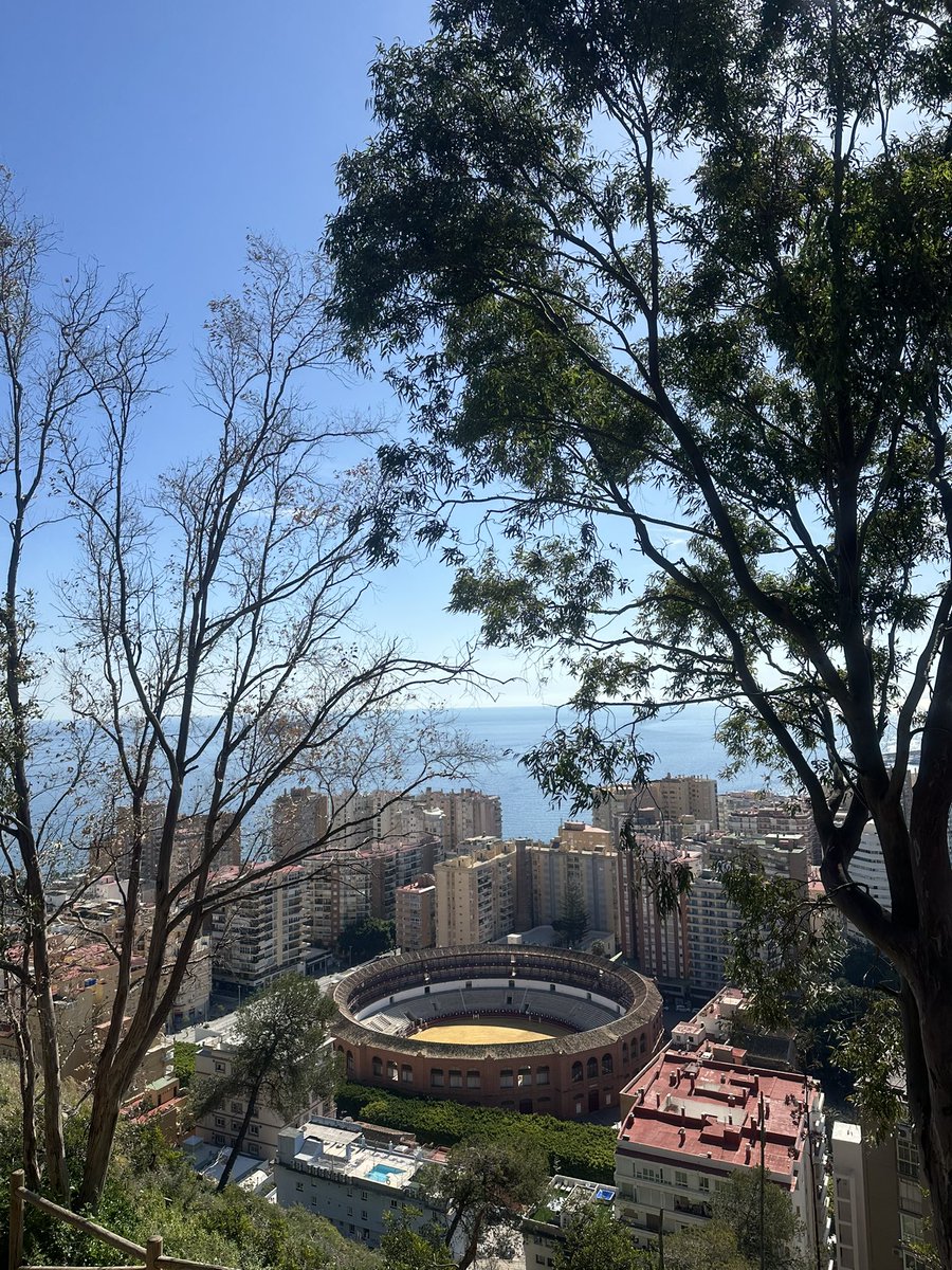 furkanmtorun's tweet image. ๐ Exploring Andalusia: Malaga & Seville
๐ช๐ธ Tapas, history & sunshine!