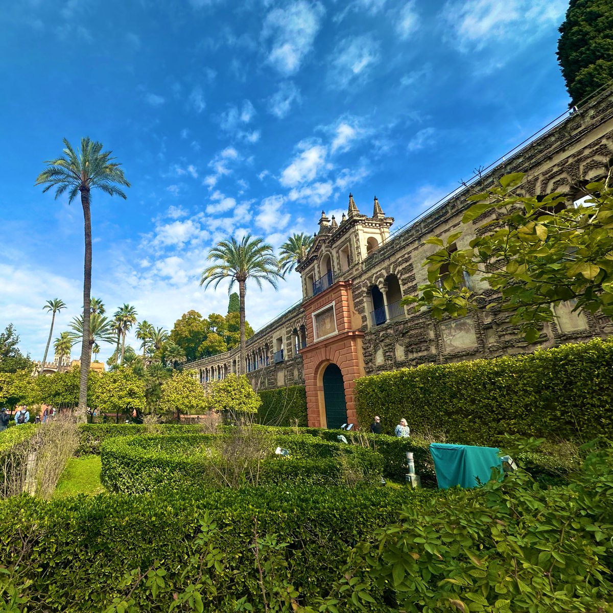 furkanmtorun's tweet image. ๐ Exploring Andalusia: Malaga & Seville
๐ช๐ธ Tapas, history & sunshine!