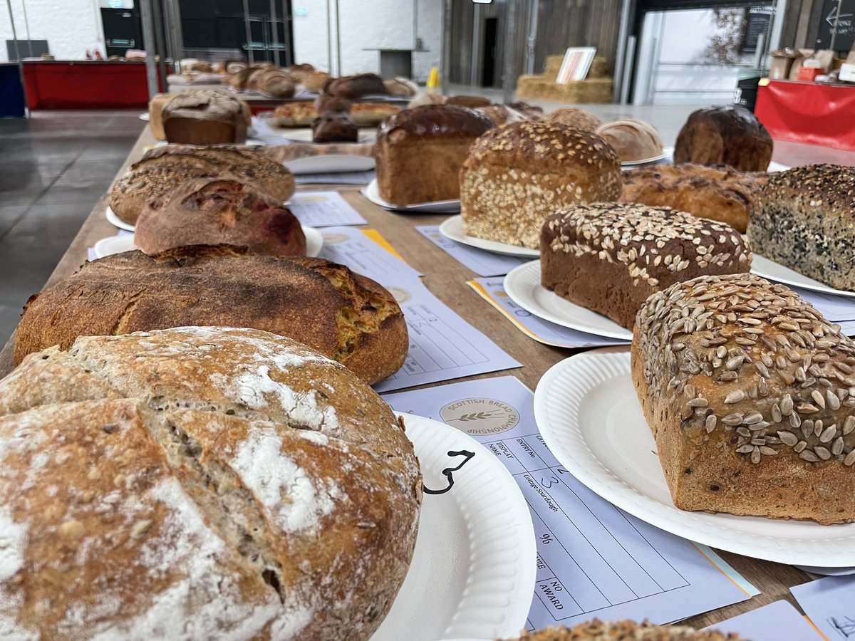 EdinBakersTrust's tweet photo. Judging at the #scottishbreadchampionship underway @BowhouseFife https://t.co/2Ww5RIVKCm