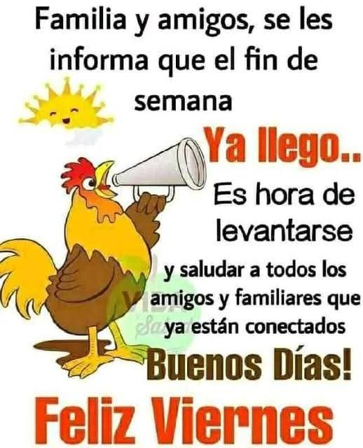 Carlos Gamez tweet media