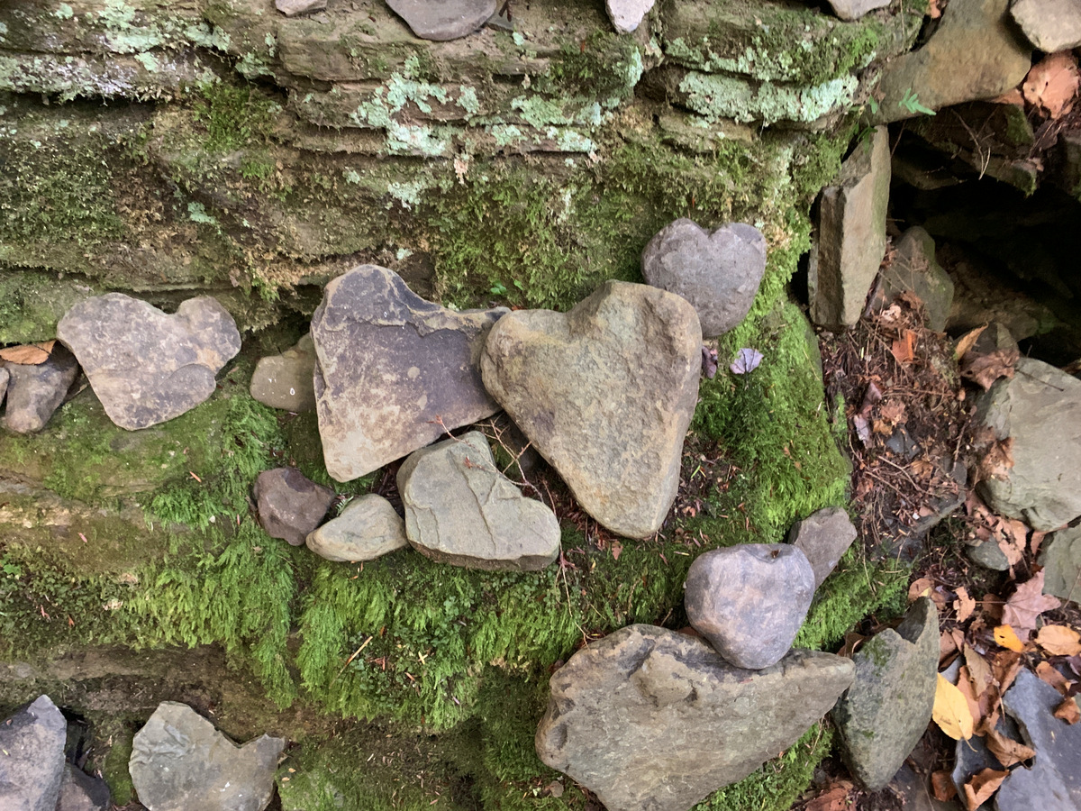 Happy Valentine's Day! SHARE if you 💚 the Finger Lakes!