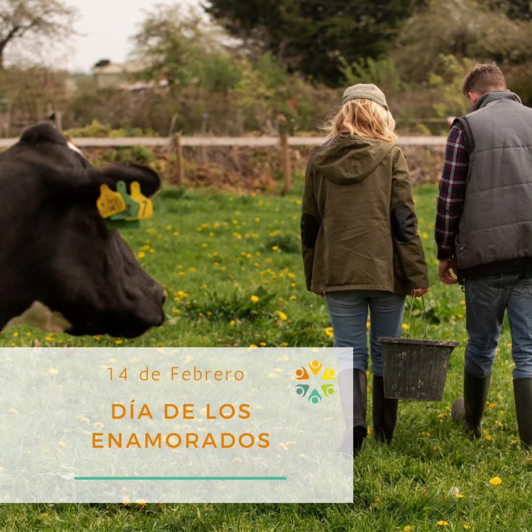 ¡En el Día de San Valentín, celebremos el amor en todas sus formas! Recordando lo importante de cuidar, valorar y disfrutar de los momentos con quienes más queremos 💞

¡Que el amor nos rodee siempre! 💫

#14DeFebrero #DíaDeLosEnamorados