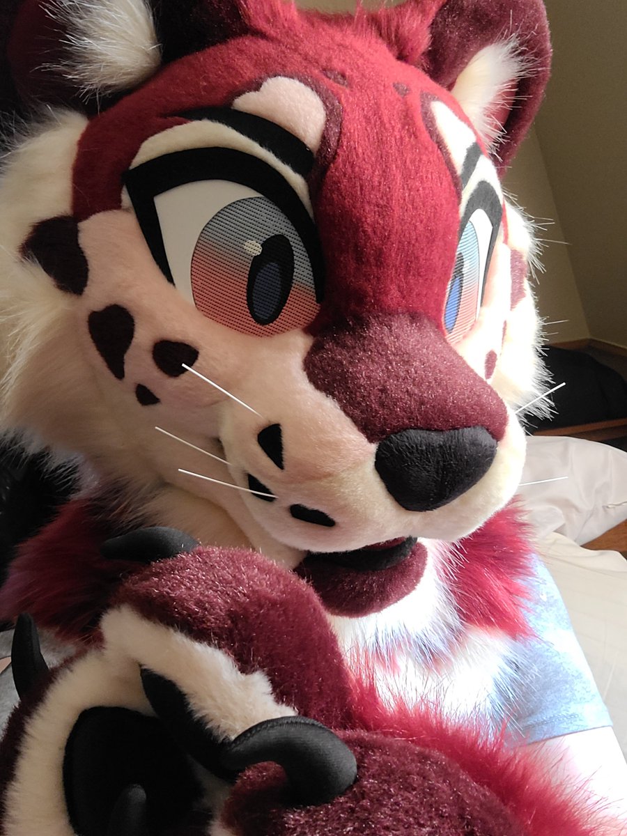 Monstirque's tweet image. not only is today valentines day, it&apos;s also officially Alice&apos;s 1 year anniversary!!

a year ago today I purchased this suit for my birthday and she arrived on Vday. Because of her I&apos;ve met so many amazing people. I don&apos;t know where I&apos;d be without her!

🪡 @AlphaLyncis