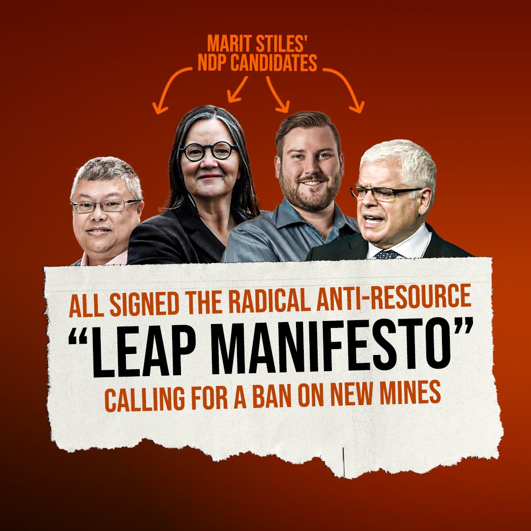 Their candidates in Markham–Stouffville, Lanark-Frontenac-Kingston, Hamilton West-Ancaster-Dundas, and Toronto-Danforth signed the radical anti-resource development Leap Manifesto, which calls for a ban on new mines.