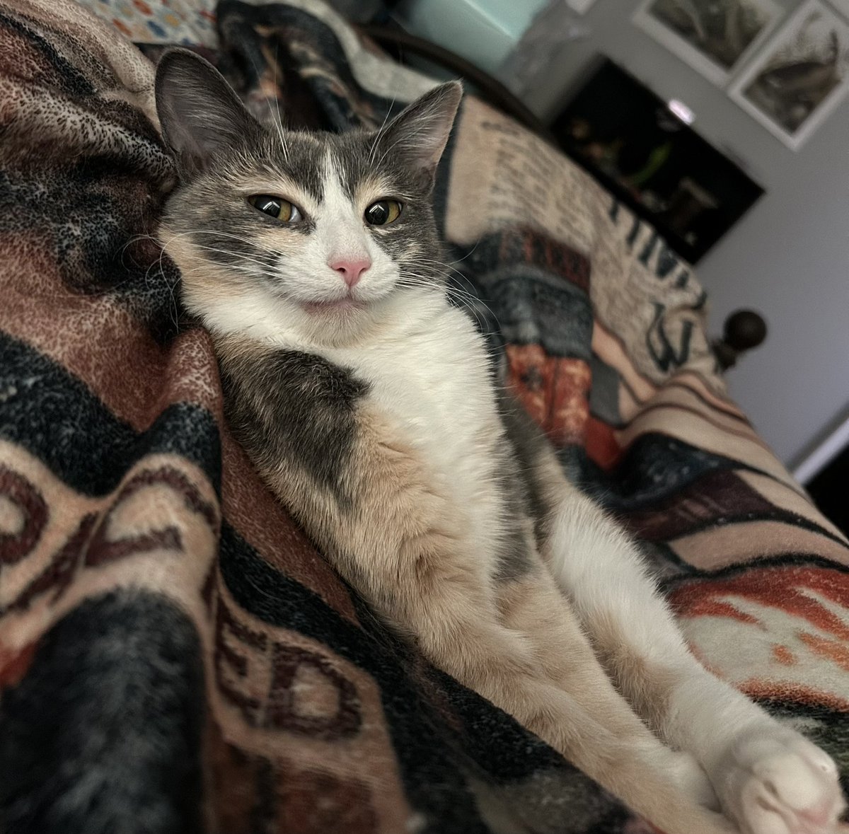 oreoeocat's tweet image. Smile of the day